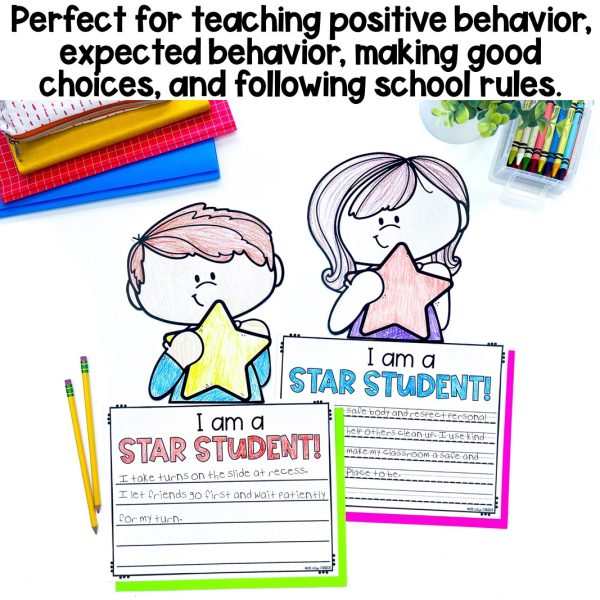 Positive Behavior & School Expectations Lesson - Image 4